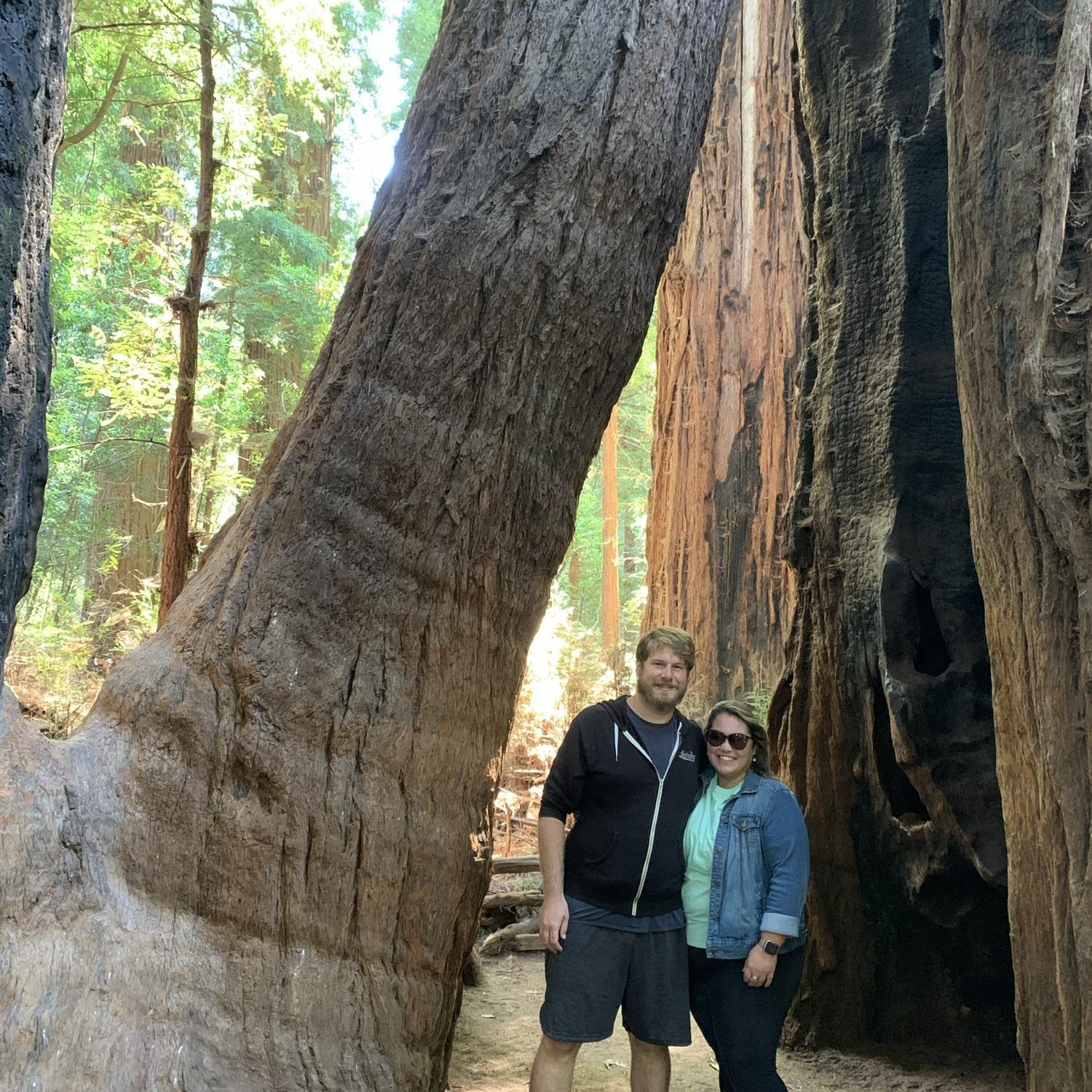 Henry Cowell Redwoods State Park | August 2021 in Santa Cruz, CA
