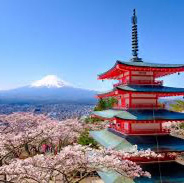 Honeymoon Fund *Hopefully Japan!*