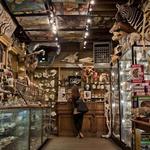 The Evolution Store