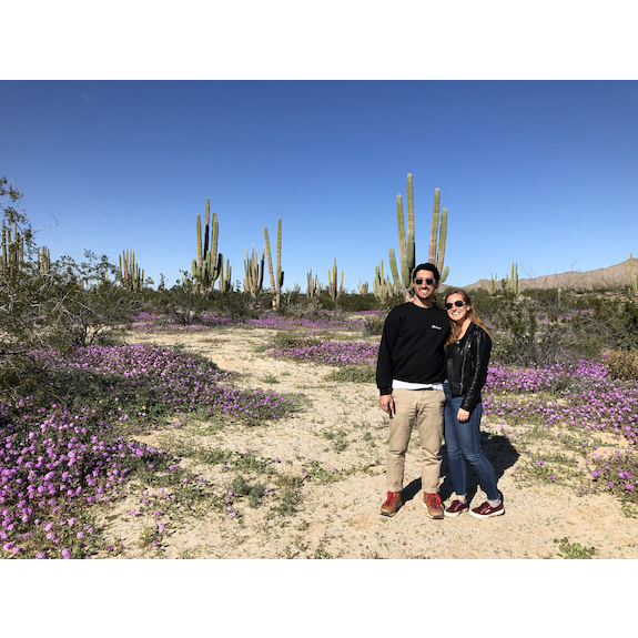In Baja California in December 2018