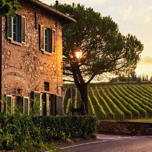 A night beside Burgundy's Vineyards