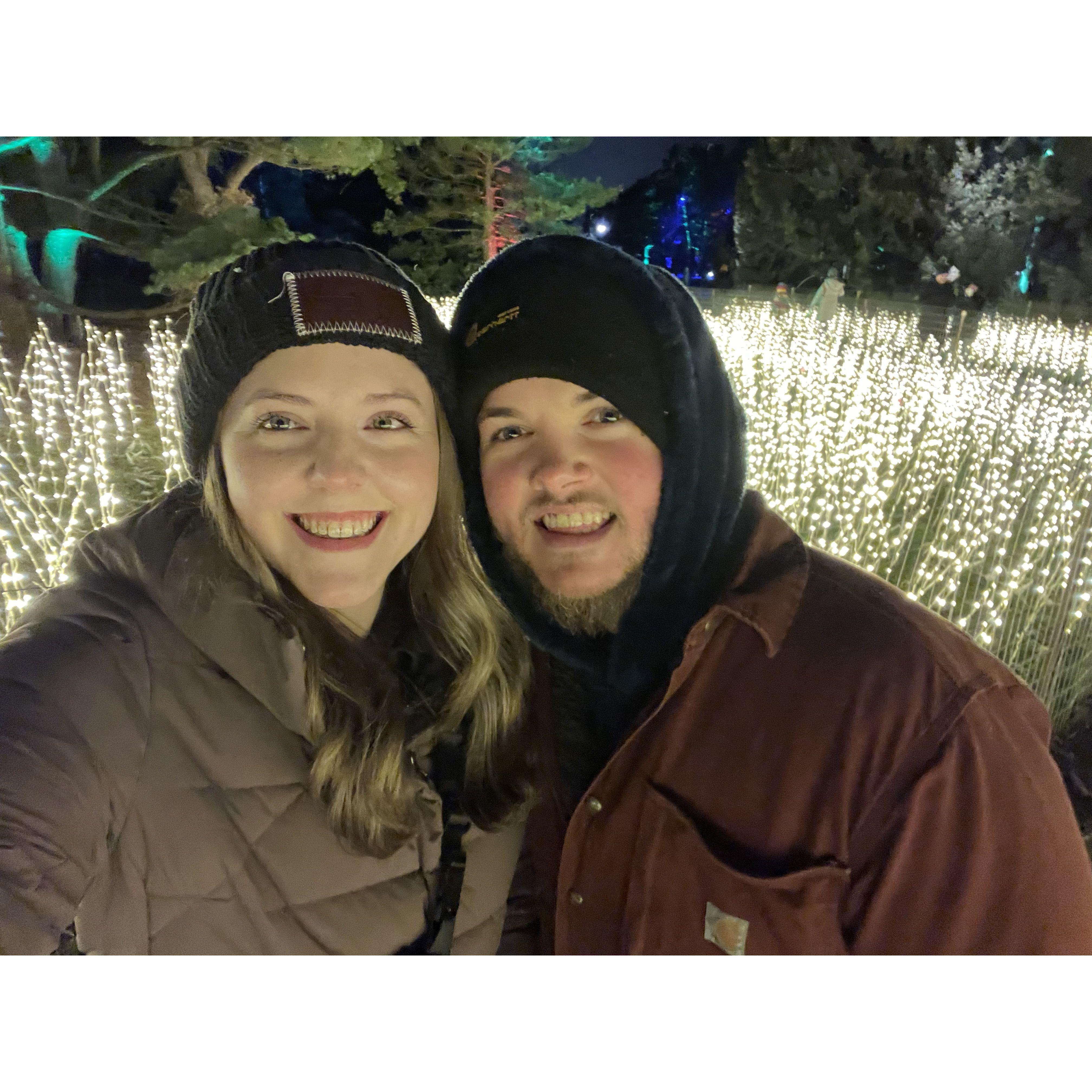 Mortem Arboretum light show