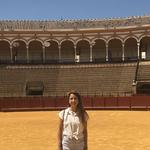 Plaza de Toros de la Real Maestranza de Caballería de Sevilla