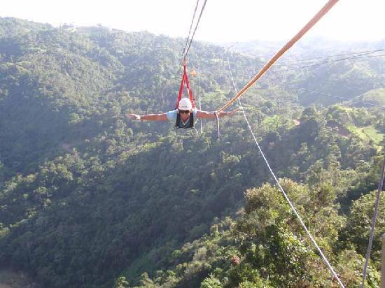 The Wedding Website of Lorena Layrisse Landaeta and Nima Moghadam