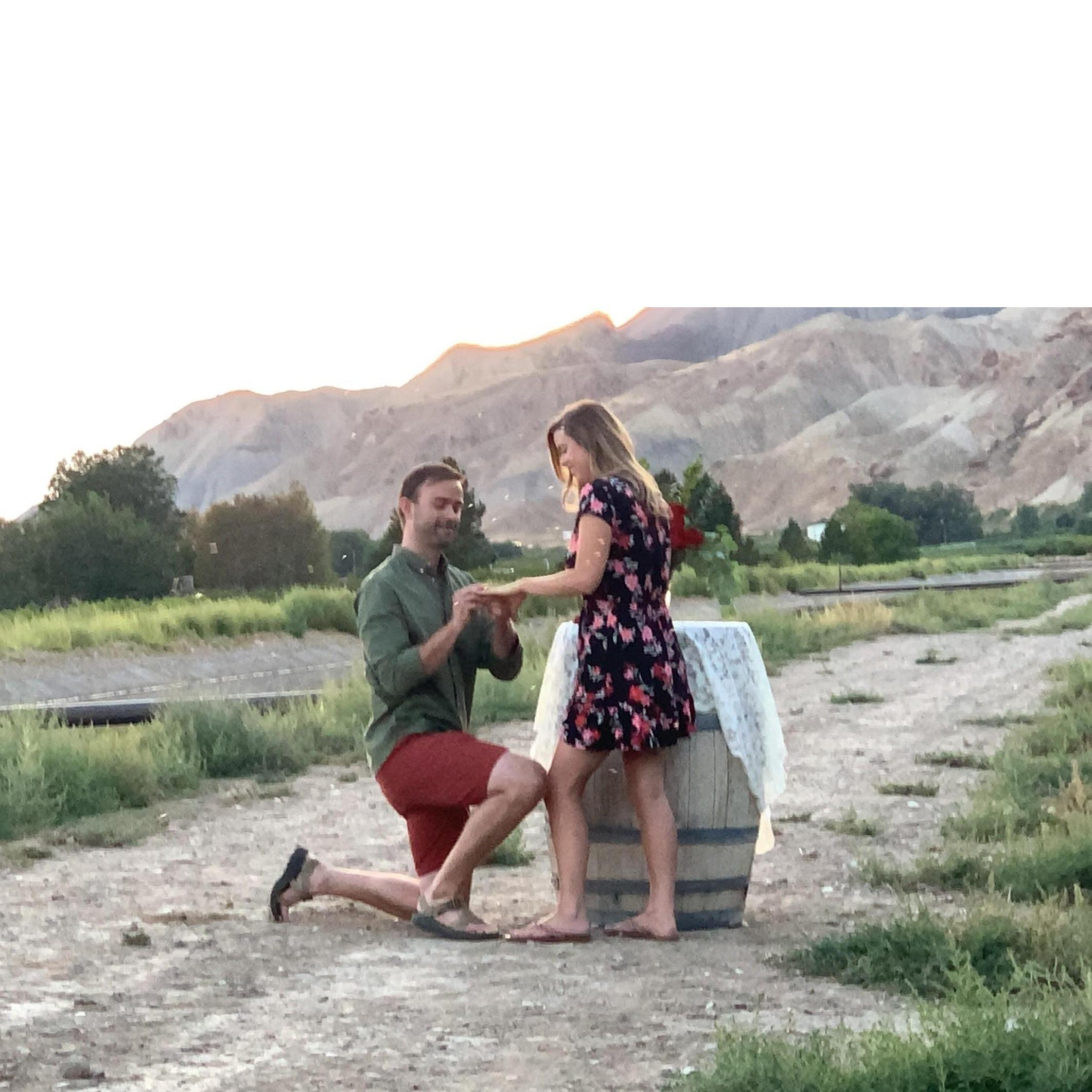 Where I proposed at sunset next to a vineyard in Palisade, CO