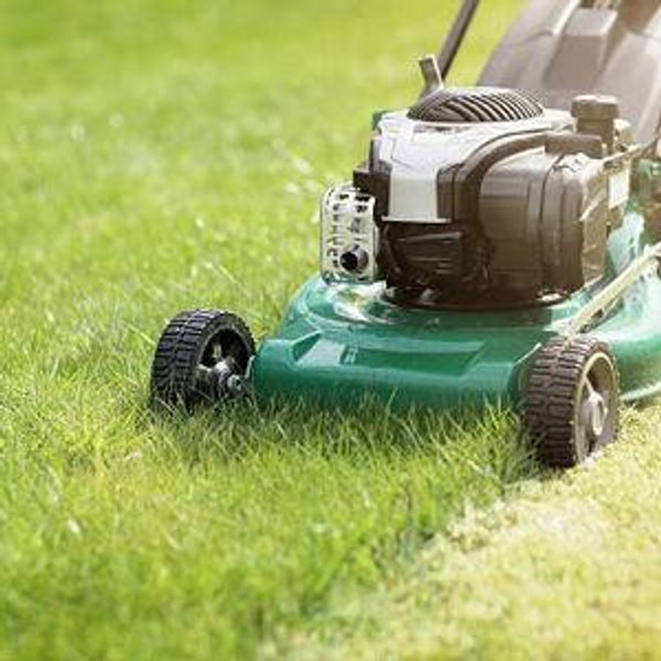 Lawn Mower
