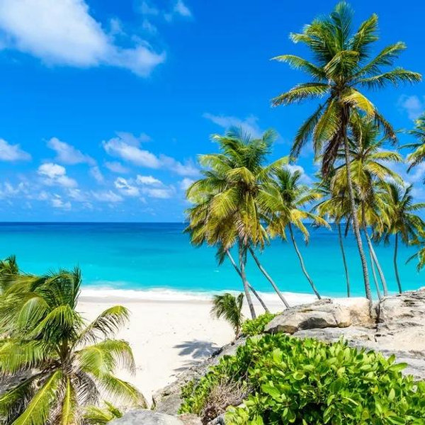 Caribbean Honeymoon Fund
