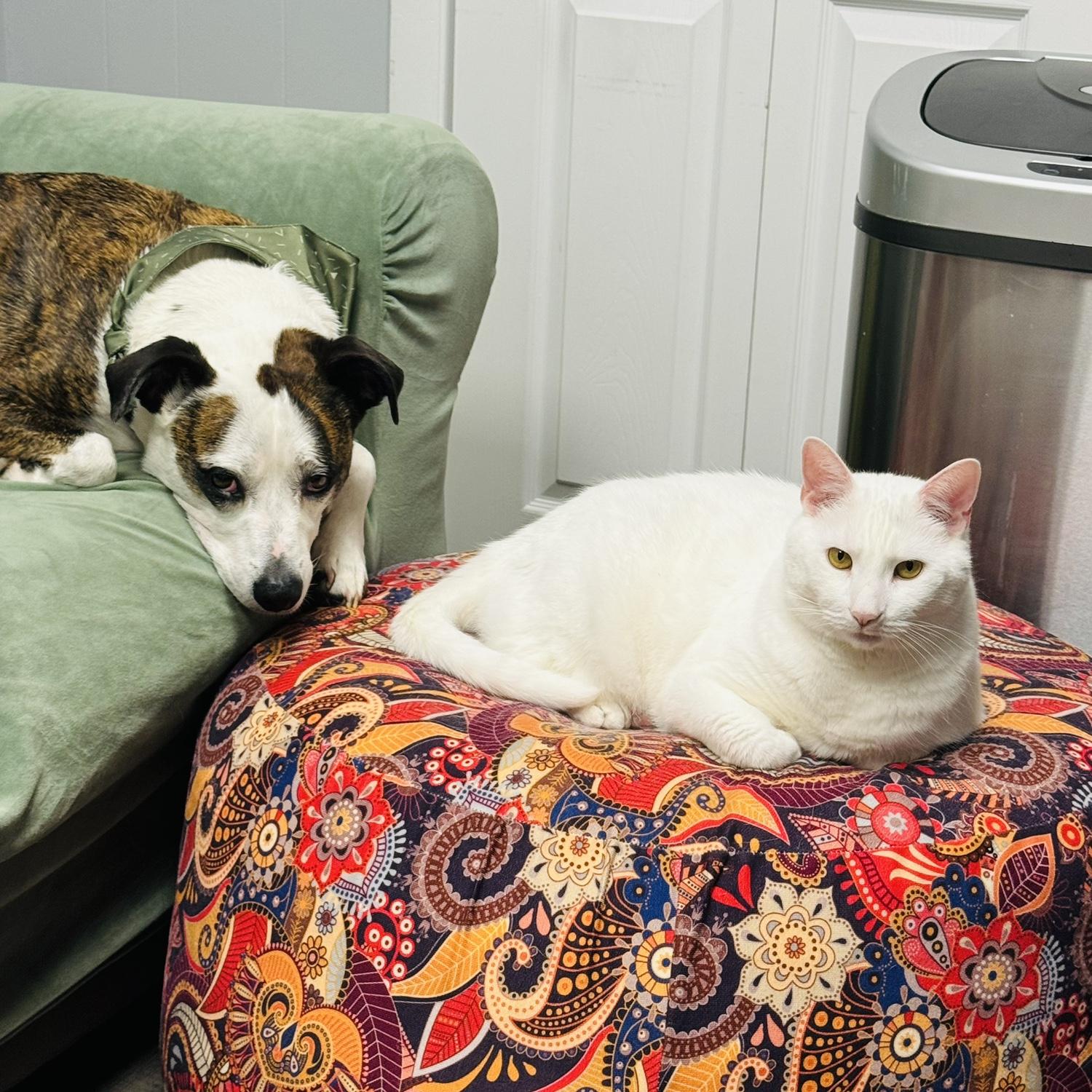 The day they accepted they are brothers