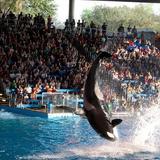 SeaWorld Drive