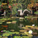 Visit the Vallarta Botanical Gardens