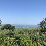 Fire Island Beaches