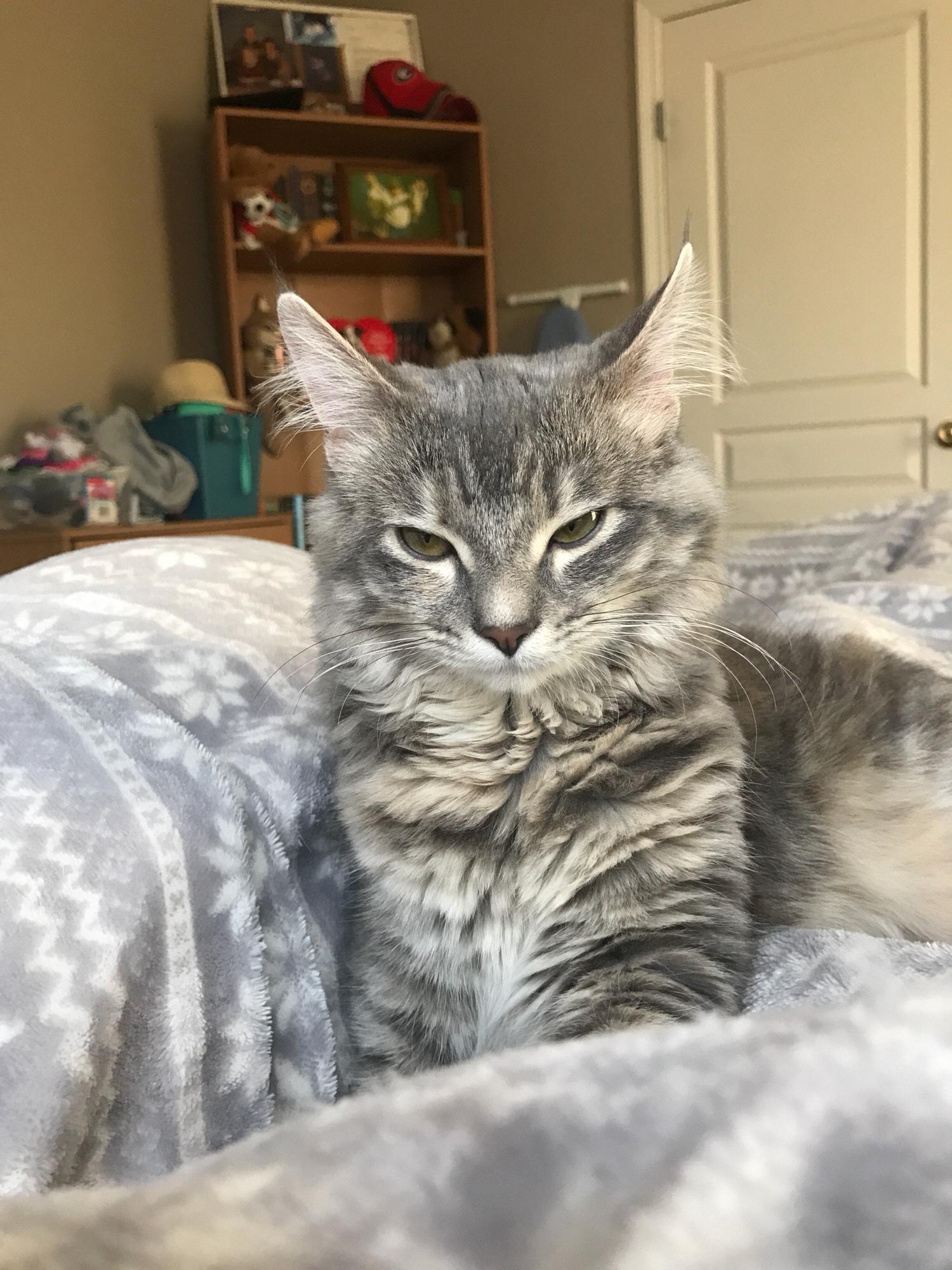 Delilah-Athens, GA