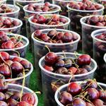 Joshua Tree Certified Farmers' Market