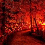 Jack O'Lantern Spectacular