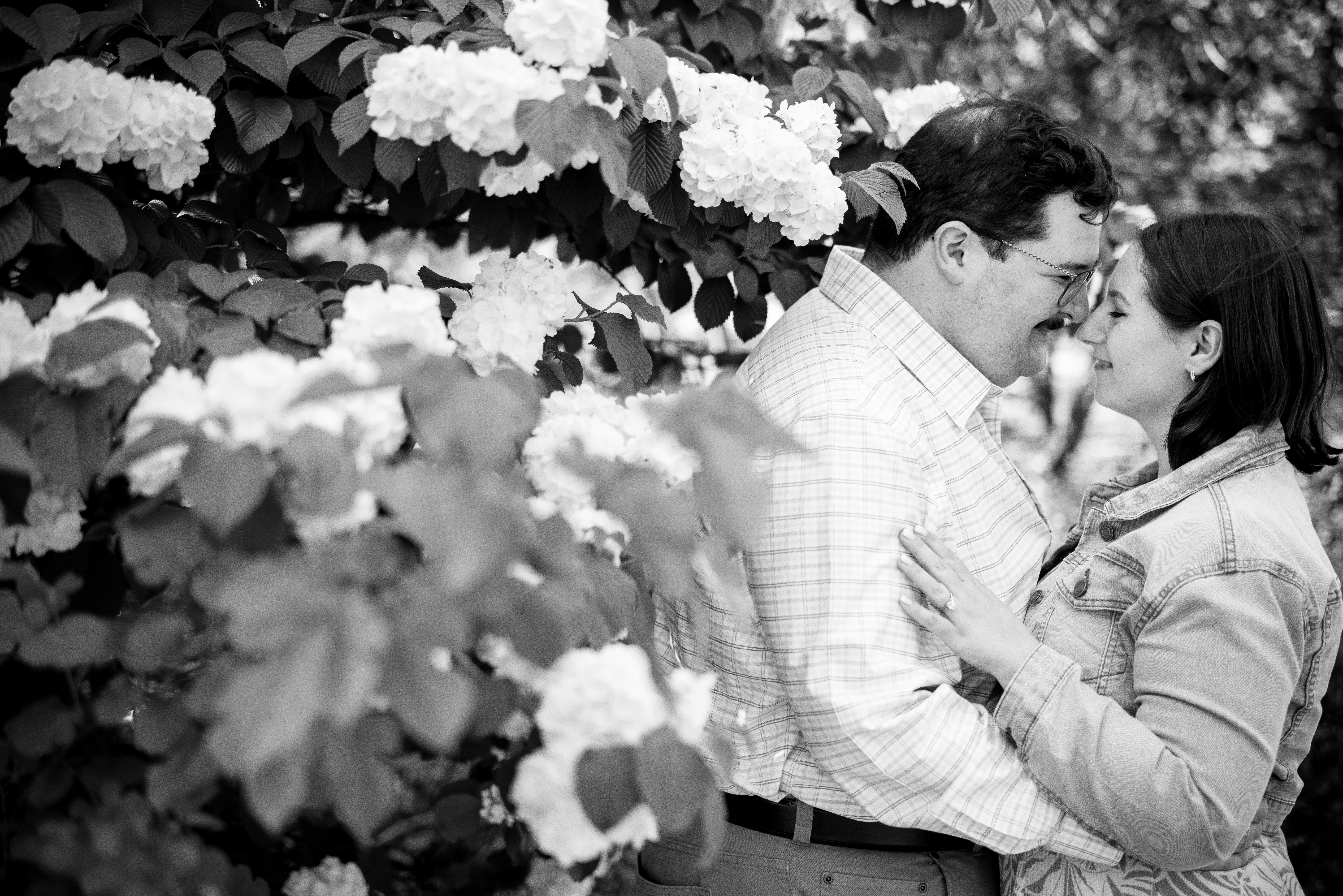 The Wedding Website of Joseph Smith III and Elizabeth Newmeyer