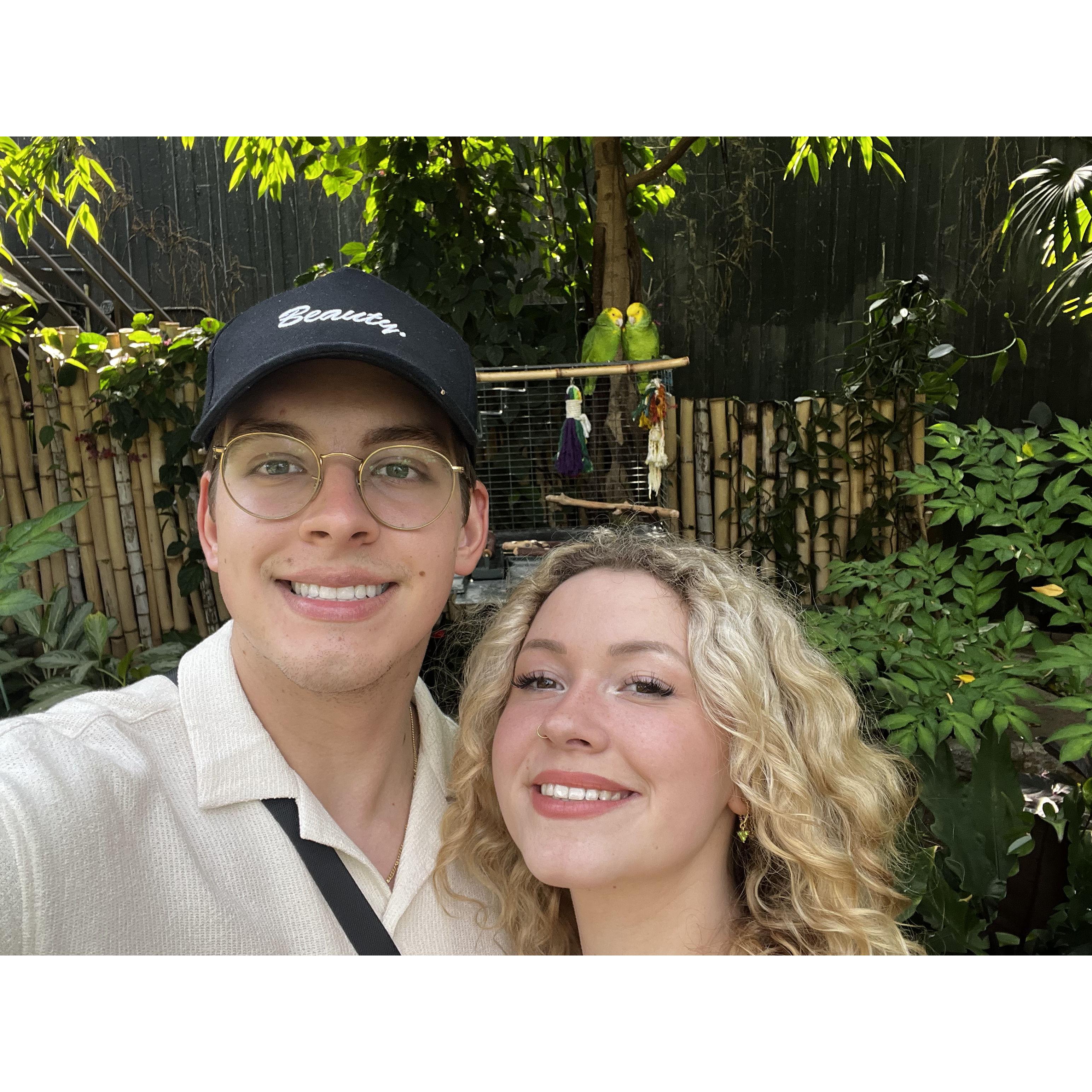 Bird Sanctuary in Vancouver