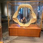 North Carolina Museum of Natural Sciences