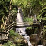 Flume Gorge