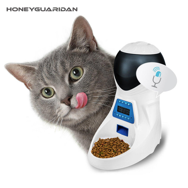 Automatic Pet-feeder for Kitty & Professor X!