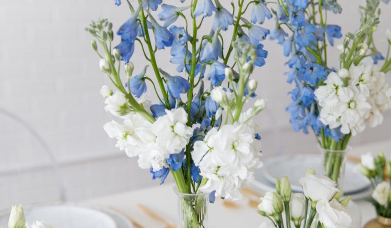 The Wedding Website of Bradie Reynolds and Richard King