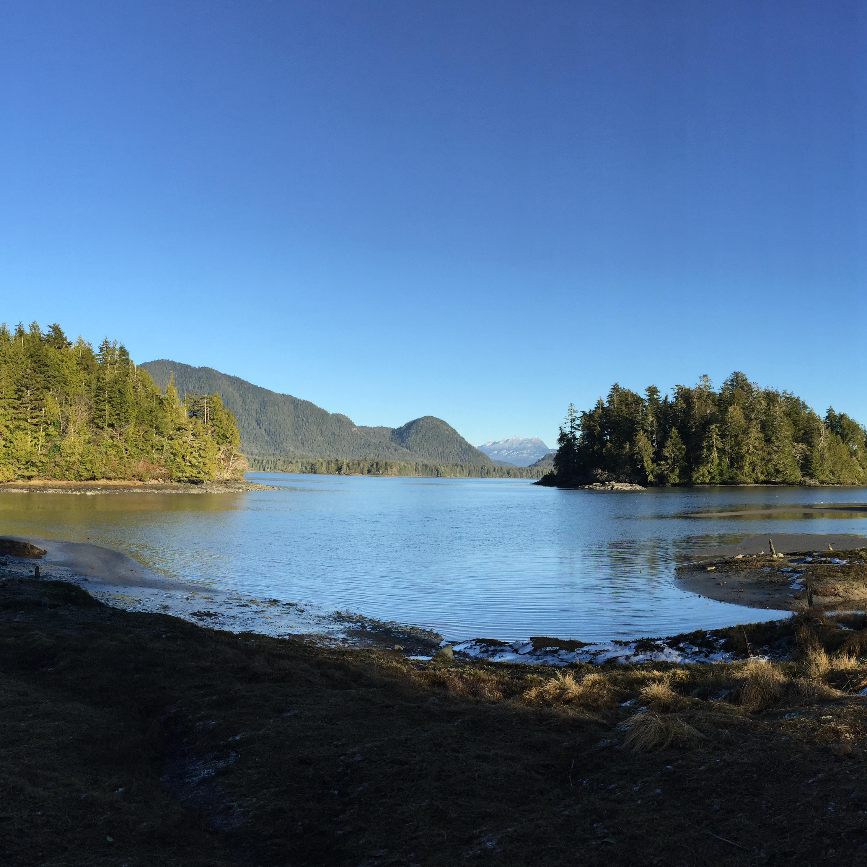 In Tofino, we walked to breakfast and then took a hike to a secret lake off the beaten path. It was a hidden world just a few feet beyond where we'd been for days.