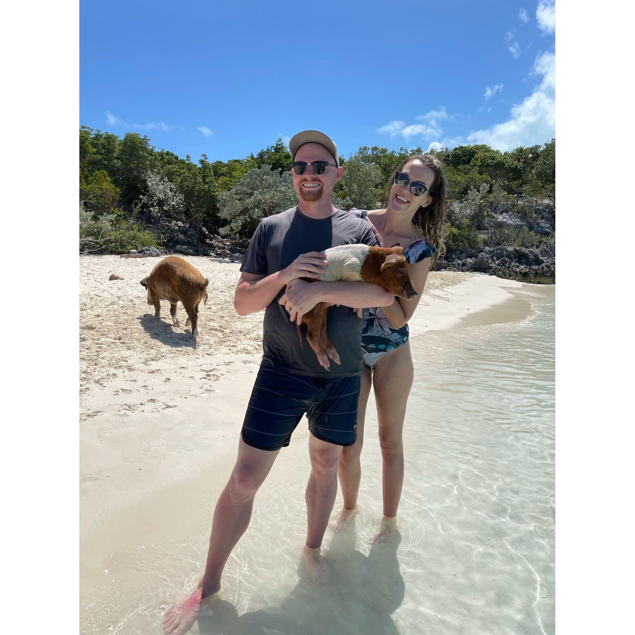 Swimming with the piggies in the Bahamas