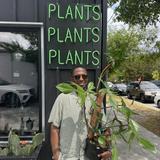The Plant Outpost