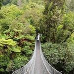 Kaitoke Regional Park