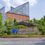 Tennessee Aquarium