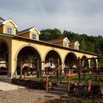 Paradise Hills Vineyard & Winery