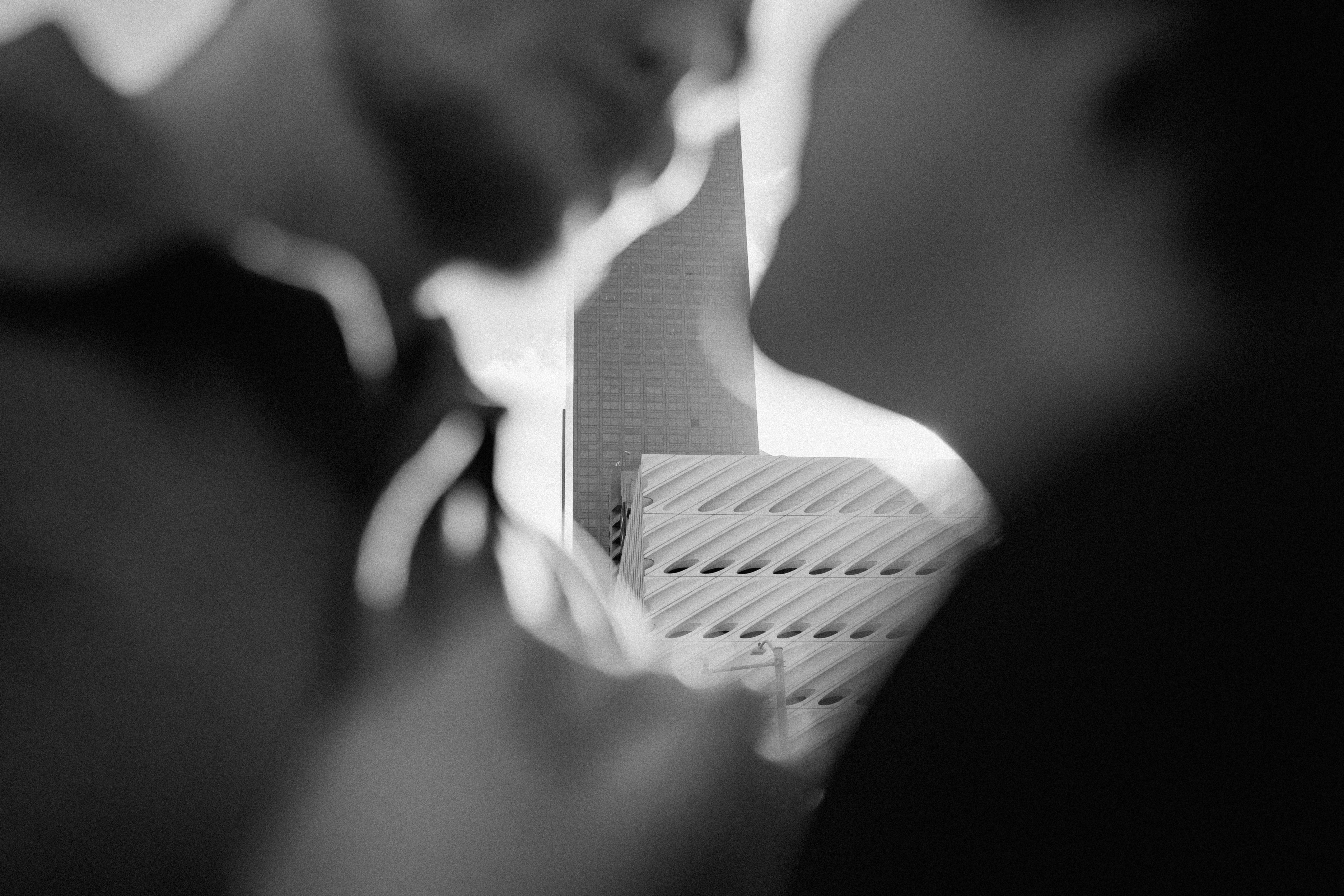 The Wedding Website of Amy Espina and Nicholas Andolino