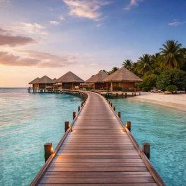 Honeymoon Fund