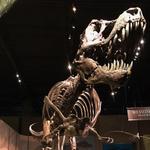 Tellus Science Museum