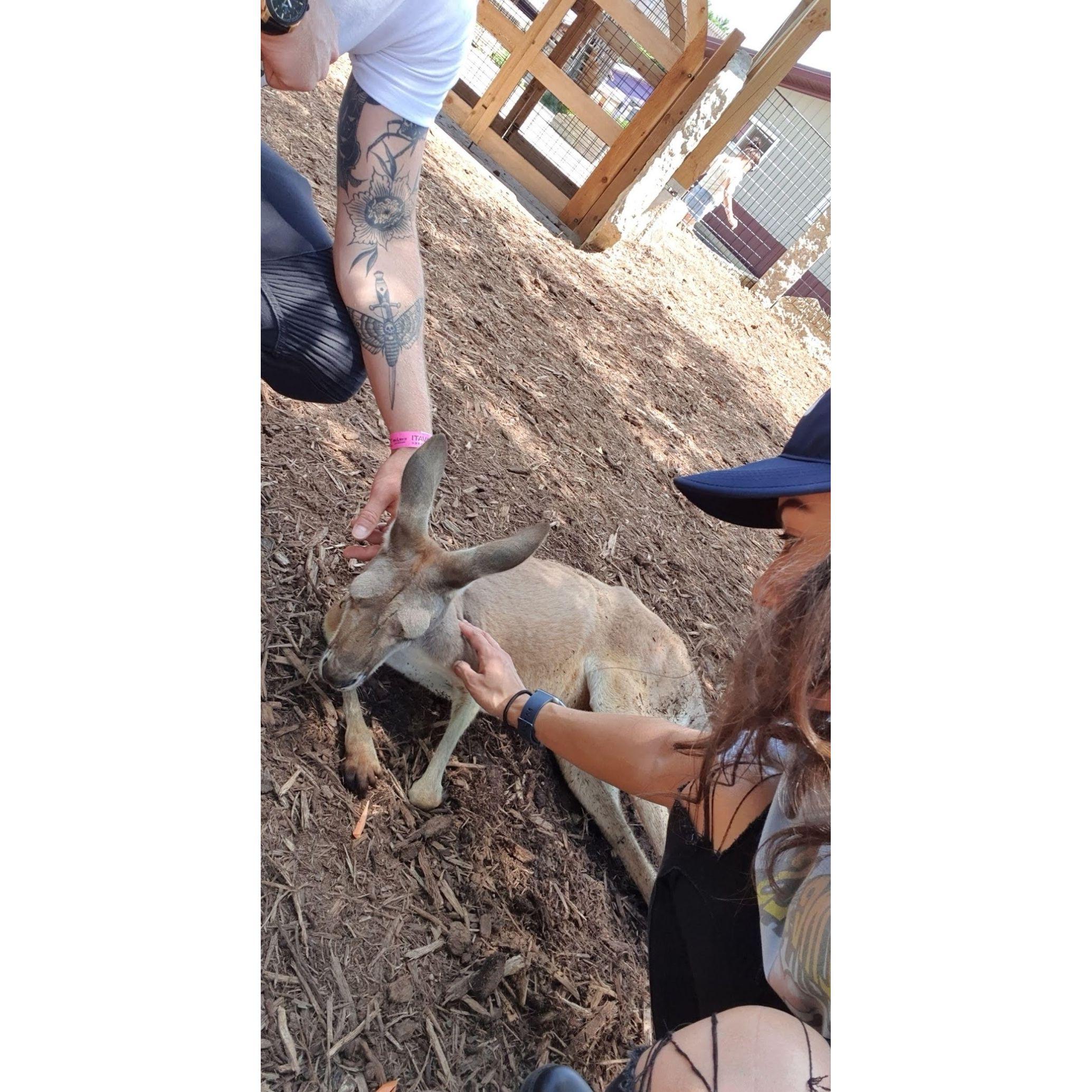 Wisconsin Dells 2020