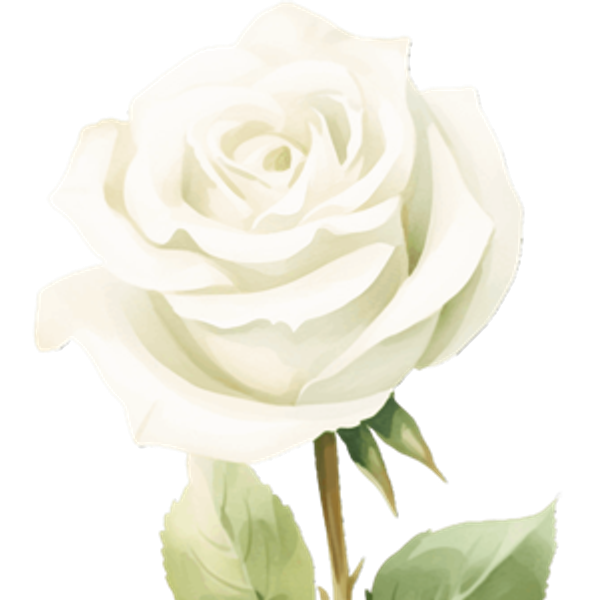 Wedding fund