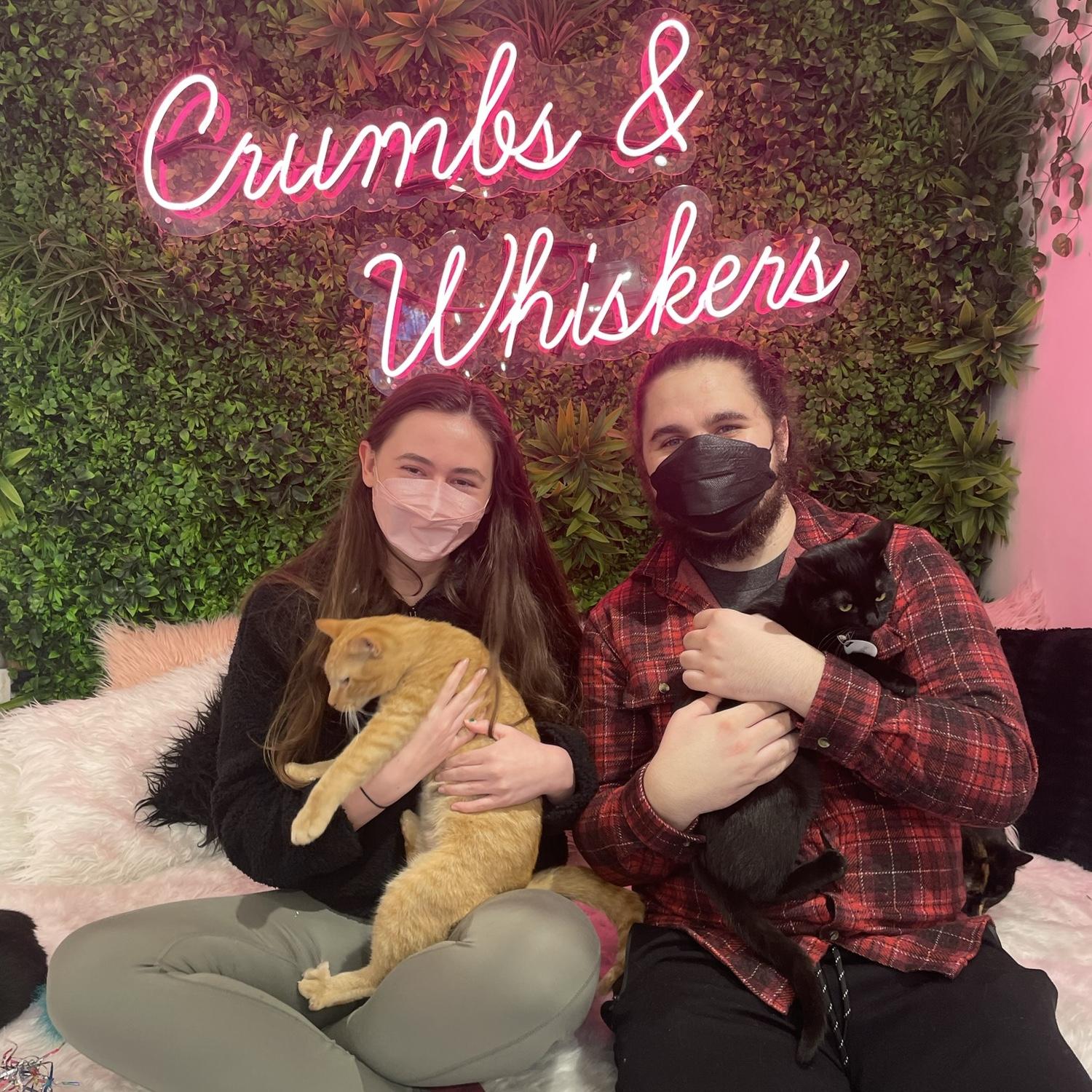 Peak pandemic... stay safe but still visit the cat cafe