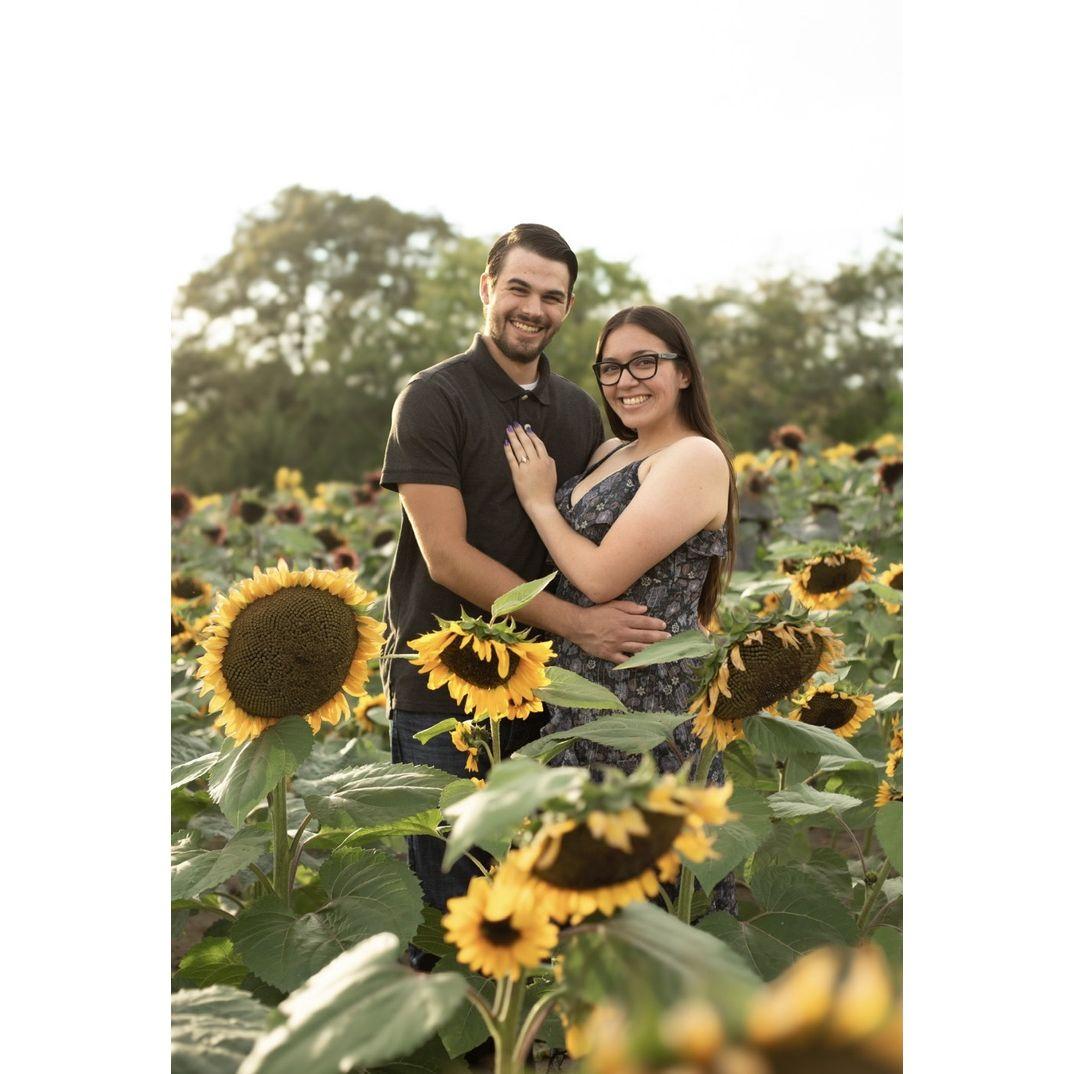 Getting engaged!