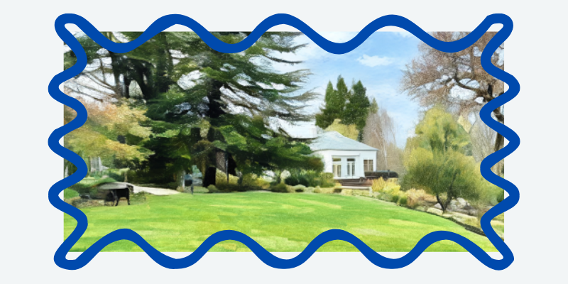 The Wedding Website of Katy White and Ryan Neely