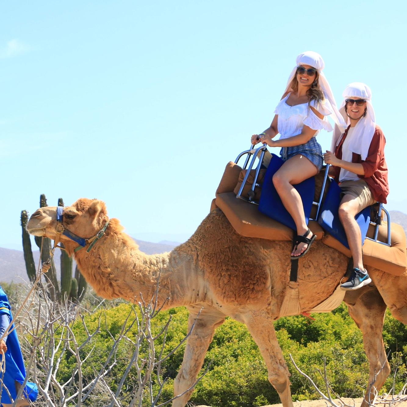 April 2019 - first international trip to Cabo, Mexico.