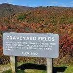 Graveyard Fields Loop Trail