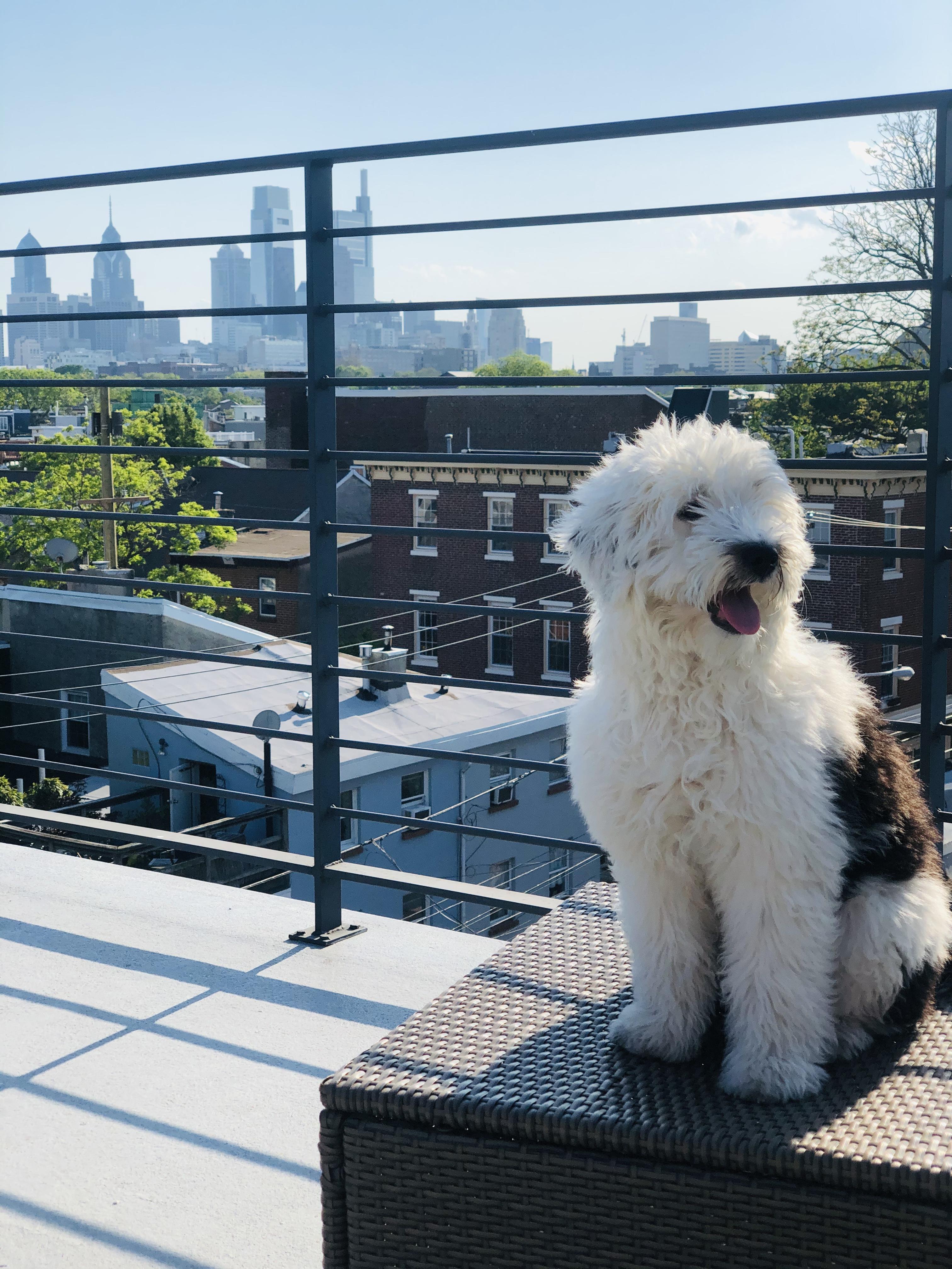 The Wedding Website of Meghan Suriano and Jonathan Graulich