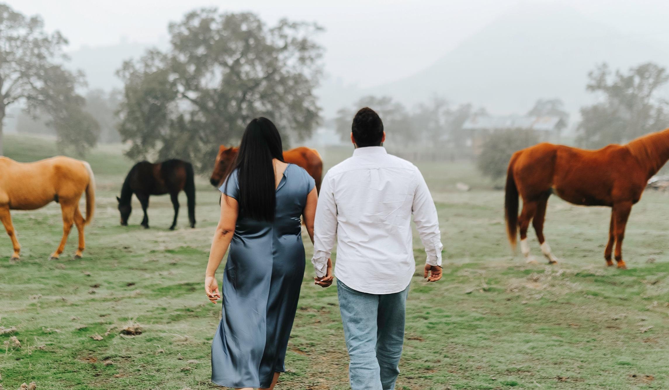 The Wedding Website of Krystale Gutierrez and David Rangel