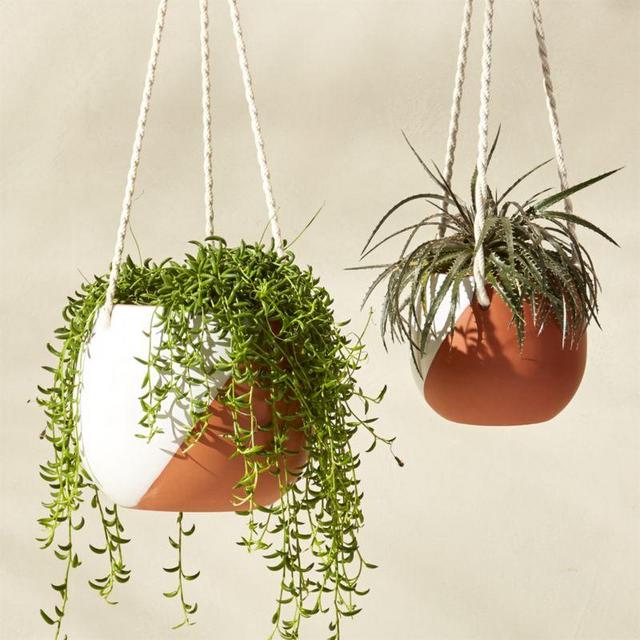 CB2 cove hanging planters