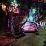 Meow Wolf Santa Fe's House of Eternal Return