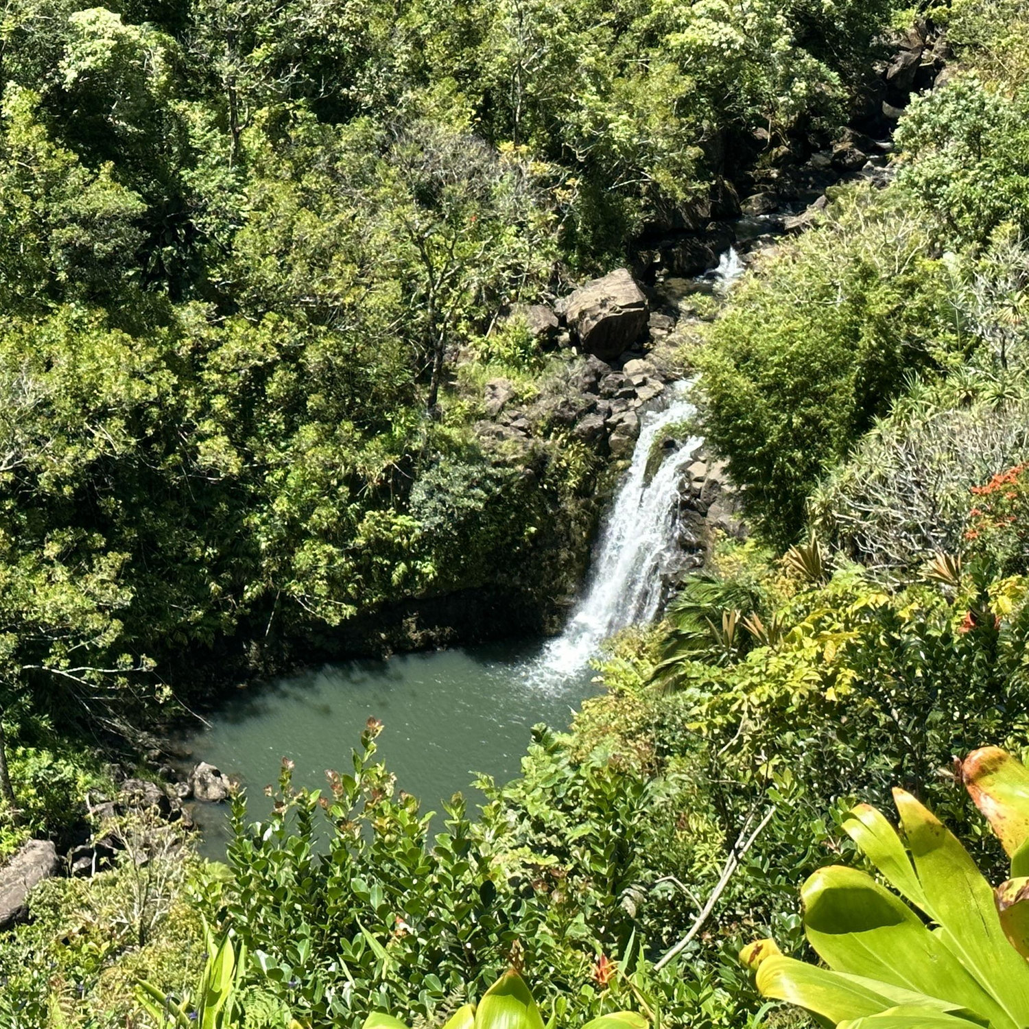 Hana