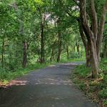 Hartshorne Woods Park