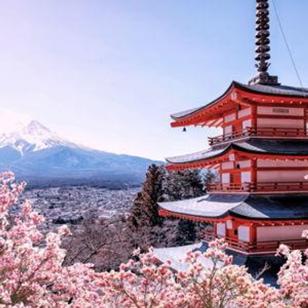 Honeymoon to Japan Fund