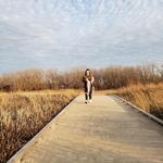 Headlands Beach State Park