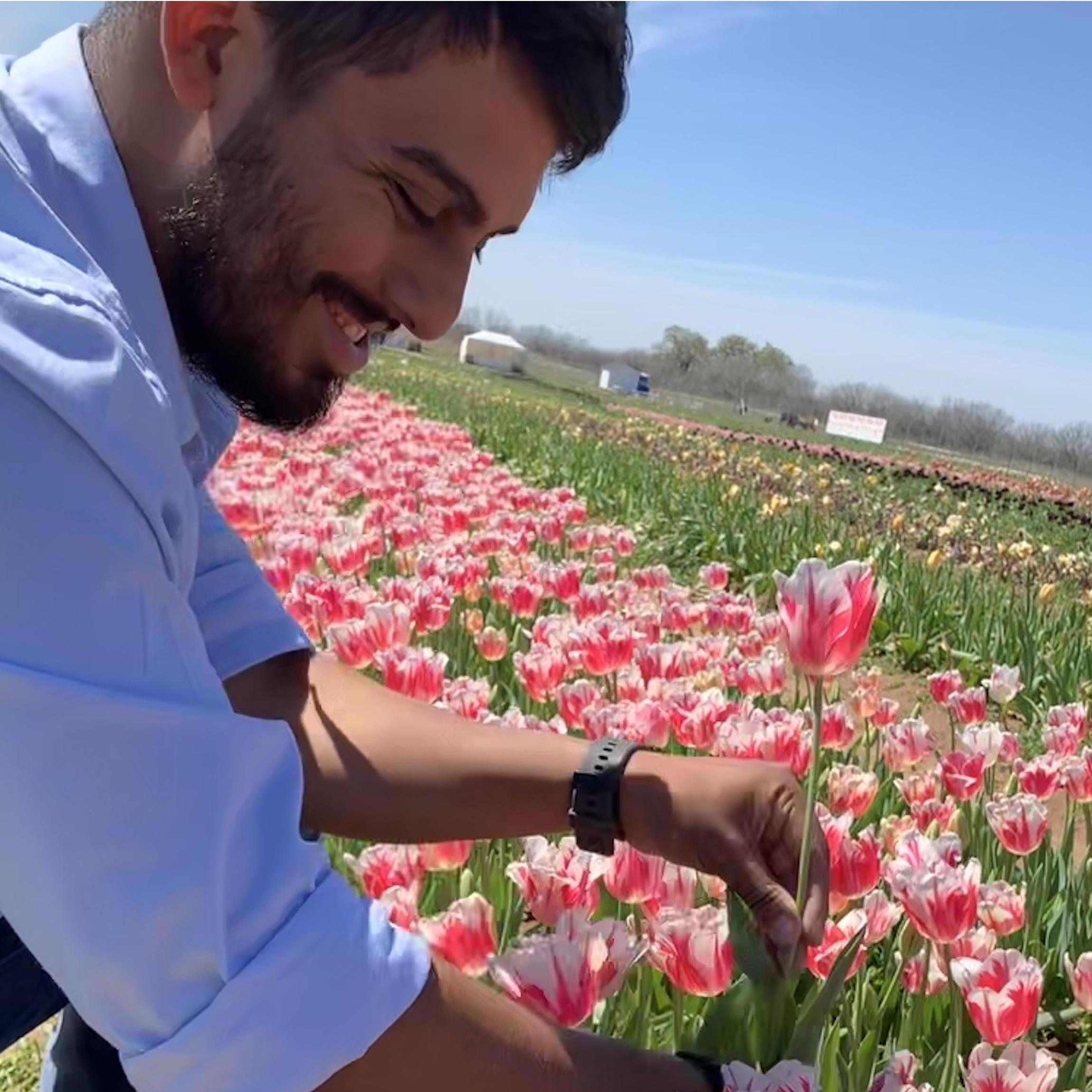 Pickin' Tulips @ The Texas Tulips Field