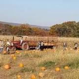 Maylath Farm and Orchard
